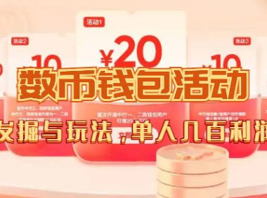 (5324)数字人民币_从严选为起点细讲个人怎么领红包(单人利润几百+)