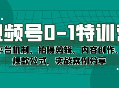 (5336)视频号0-1特训营:平台机制、拍摄剪辑、内容创作、爆款公式,实战案例分享