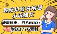 (5368)最新抖音洗地毯小说推文,流量稳定,一天收入600(附177G素材)
