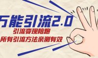 （5374）绅白·万能引流2.0，引流变现陪跑，所有引流方法亲测有效