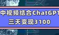 (5373)中视频结合ChatGPT,三天变现3100,人人可做 玩法思路实操教学(附238G素材)