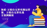 (5401)淘系·万相台无界实操运营课,万相台·无界实战全案例解析(63节课)