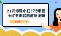 (5409)21天-爆款小红书特训营,小红书爆款的底层逻辑(8节课)