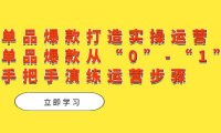 (5420)单品爆款打造实操运营,单品爆款从“0”-“1”手把手演练运营步骤
