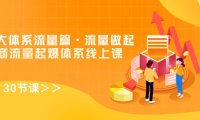 (5459)8大体系流量篇·流量做起,电商流量起爆体系线上课(30节课)