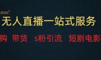 （5504）无人直播全套服务，变现稳定