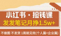 (5514)小红书·捡钱课 发发笔记月挣1.5w+不做图 不发货 1周就见效(个人篇+企业篇)