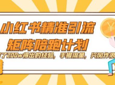 (5344)小红书精准引流·矩阵陪跑计划:烧了200w得出的经验,手握流量,兴风作浪!