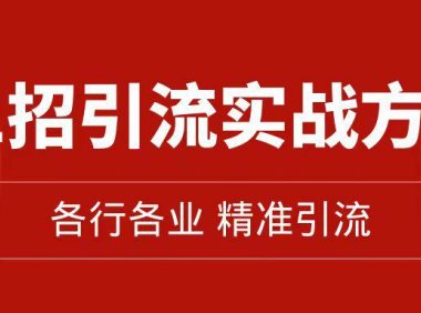 （5347）精准引流术：11招引流实战方法，让你私域流量加到爆（11节课完整版）