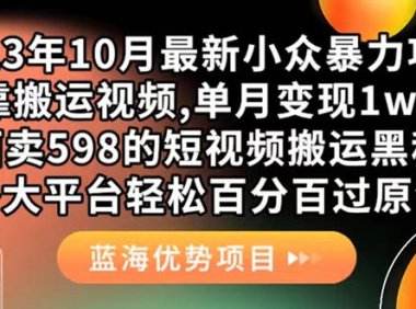 (5357)外面卖598的10月最新短视频搬运黑科技,各大平台百分百过原创 靠搬运月入1w