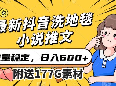 (5368)最新抖音洗地毯小说推文,流量稳定,一天收入600(附177G素材)
