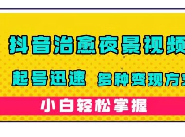 (5372)抖音治愈系夜景视频,起号迅速,多种变现方式,小白轻松掌握(附120G素材)