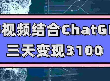 (5373)中视频结合ChatGPT,三天变现3100,人人可做 玩法思路实操教学(附238G素材)