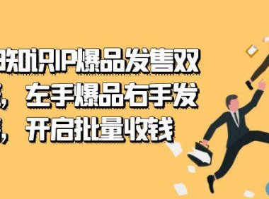 （5375）2023知识IP-爆品发售双 阶班，左手爆品右手发售，开启批量收钱