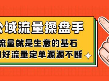 （5383）公域流量-操盘手，流量就是生意的基石，搞好流量定单源源不断
