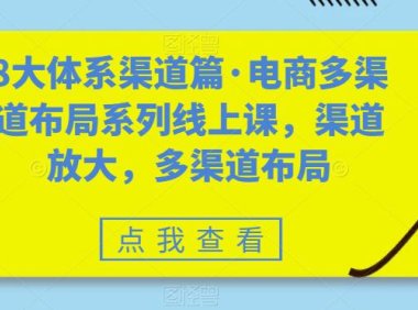 (5400)八大体系渠道篇·电商多渠道布局系列线上课,渠道放大,多渠道布局