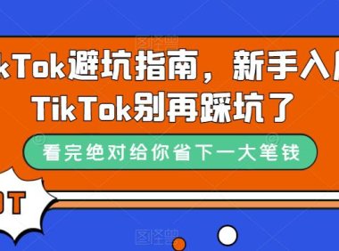 (5402)TikTok·避坑指南,新手入局Tk别再踩坑了(10节课)