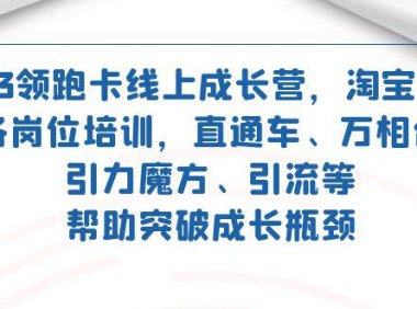 (5403)2023领跑·卡 线上成长营 淘宝运营各岗位培训 直通车 万相台 引力魔方 引流