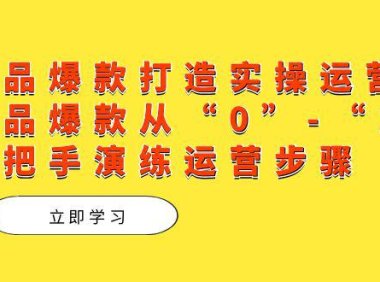 (5420)单品爆款打造实操运营,单品爆款从“0”-“1”手把手演练运营步骤