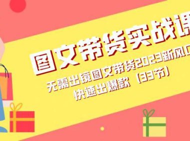 (5427)图文带货实战课:无需出镜图文带货2023新风口,快速出爆款(33节)