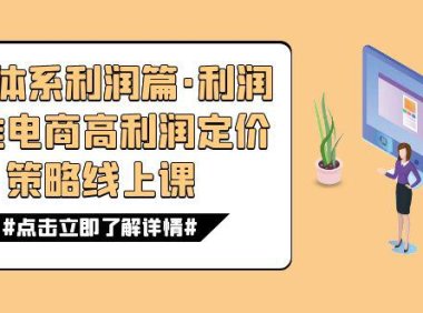 (5431)8大体系利润篇·利润定准电商高利润定价策略线上课(16节)