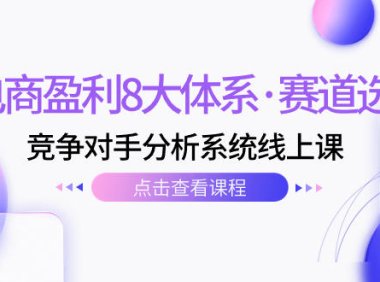(5446)电商盈利8大体系·赛道选对,竞争对手分析系统线上课(12节)