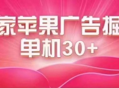 (5450)最新苹果系统独家小游戏刷金 单机日入30-50 稳定长久吃肉玩法