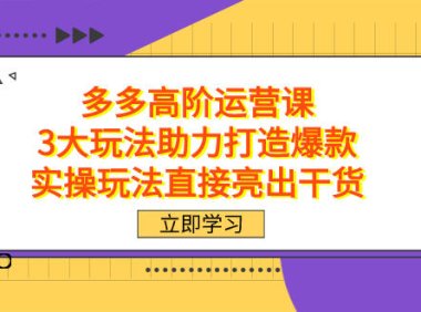 (5458)拼多多高阶·运营课,3大玩法助力打造爆款,实操玩法直接亮出干货