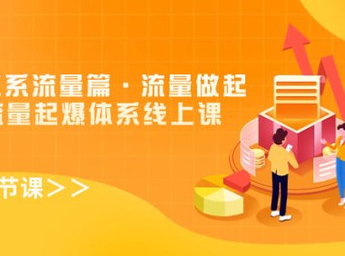 (5459)8大体系流量篇·流量做起,电商流量起爆体系线上课(30节课)