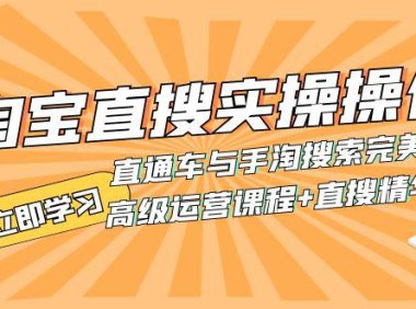 (5483)淘宝直搜实操操作 直通车与手淘搜索完美结合(高级运营课程+直搜精华实战)
