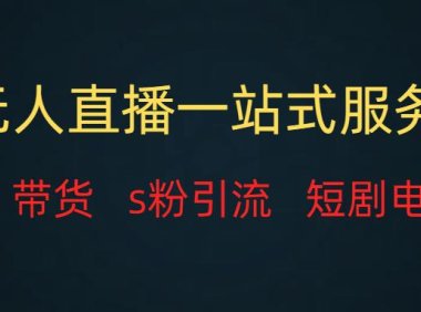 （5504）无人直播全套服务，变现稳定