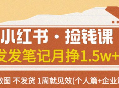 (5514)小红书·捡钱课 发发笔记月挣1.5w+不做图 不发货 1周就见效(个人篇+企业篇)