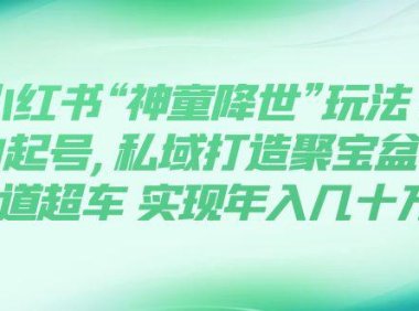 (5519)小红书“神童降世”玩法 暴力起号,私域打造聚宝盆 弯道超车 实现年入几十万
