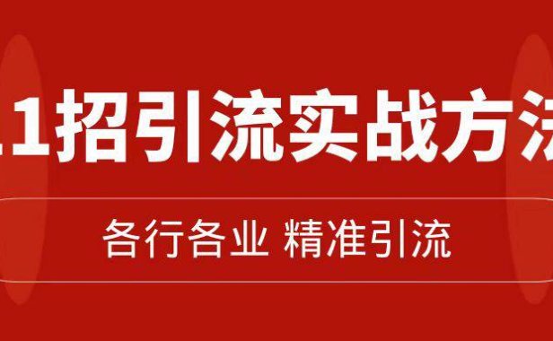 (5347)精准引流术:11招引流实战方法,让你私域流量加到爆(11节课完整版)