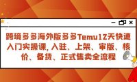 (5537)跨境多多海外版多多Temu12天快速入门实战课,从入驻 上架到正式售卖全流程