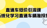 (5543)直通车-低价引流课,系统化学习直通车精准投放(14节课)