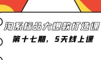 (5544)淘系标品大爆款打造课-第十七期,5天线上课