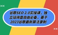 （5551）谷歌SEO 2.0实操课，独立站询盘自由必备，基于2023谷歌最新算法录制（94节）