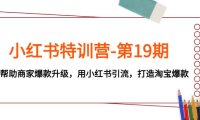 (5555)小红书特训营-第19期,帮助商家爆款升级,用小红书引流,打造淘宝爆款