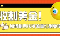 （5558）收割美金！简单制作shorts短视频，利用平台转型流量红利推广佣金任务