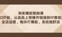 (5563)淘系爆款陪跑课 从选品上架操作链接到付费放大 全店运营 打爆款 系统做好店
