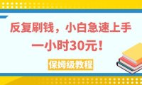 （5574）反复刷钱，小白急速上手，一个小时30元，实操教程