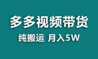 （5581）【蓝海项目】多多视频带货，靠纯搬运一个月搞5w，新手小白也能操作【揭秘】