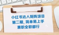 (5594)小红书达人矩阵项目第二期,简单易上手,兼职全职都行(11节课)