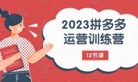 (5620)2023拼多多运营训练营:流量底层逻辑,免费+付费流量玩法(12节课)