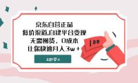 (5626)京东自营正品,低价渠道,自建平台变现,无需囤货,0成本,让你快速月入3w+