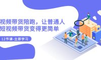 (5632)2023短视频带货陪跑,让普通人做短视频带货变得更简单(12节课)