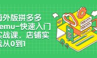 (5651)海外版拼多多Temu-快速入门实战课,店铺实战从0到1(12节课)
