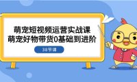 (5667)萌宠·短视频运营实战课:萌宠好物带货0基础到进阶(38节课)