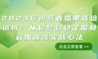 (5676)2023短视频直播带货培训班:从起号到稳定盈利叠加爆流实战心法(11节课)